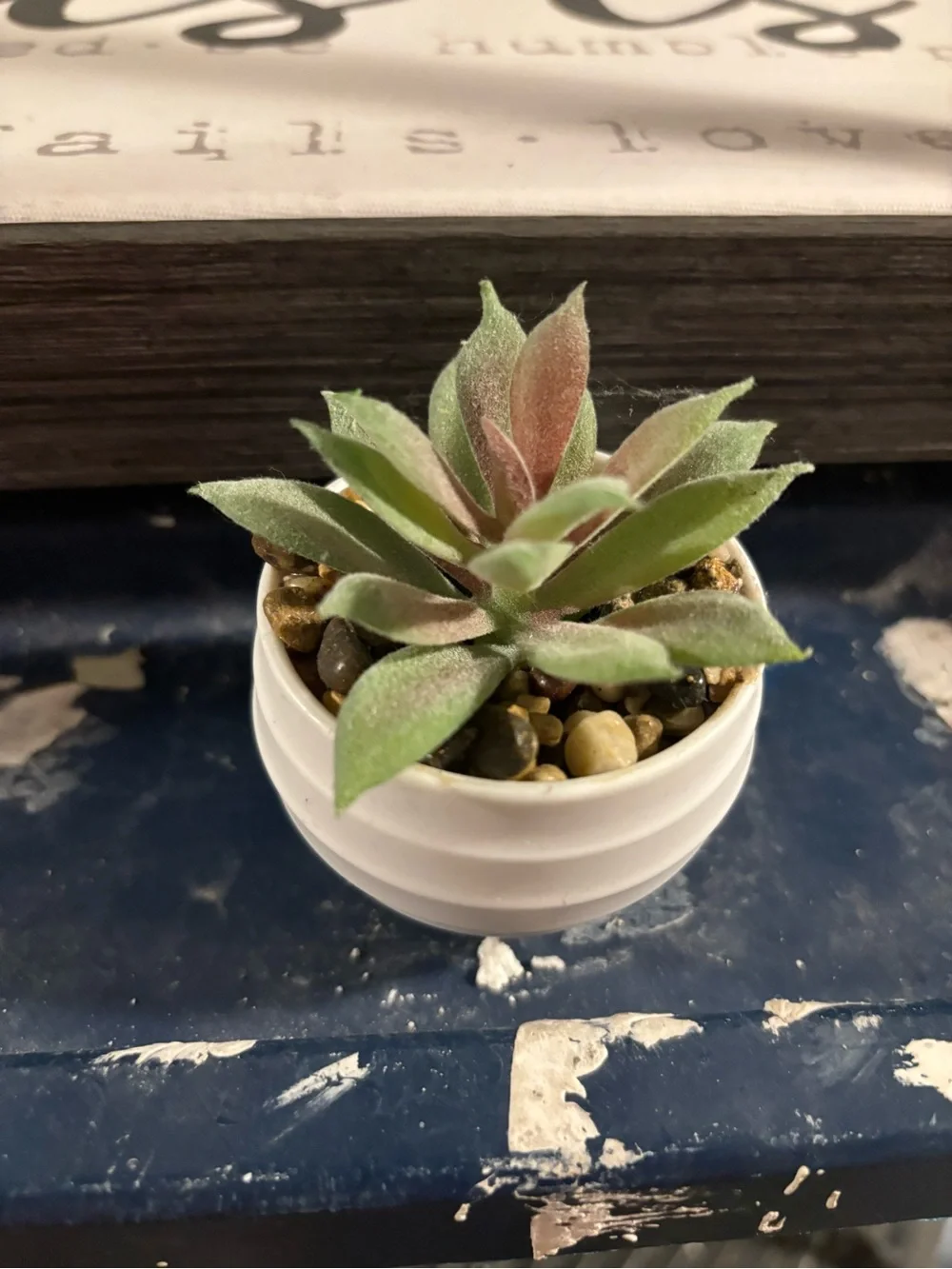Mini Artificial Succulent Assortment in White Pots - Green